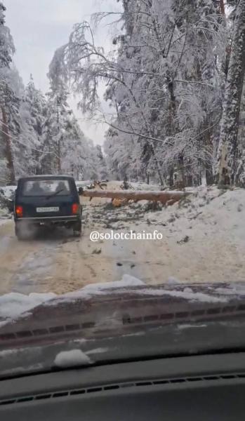 Упавшая сосна перегородила дорогу в Солотче